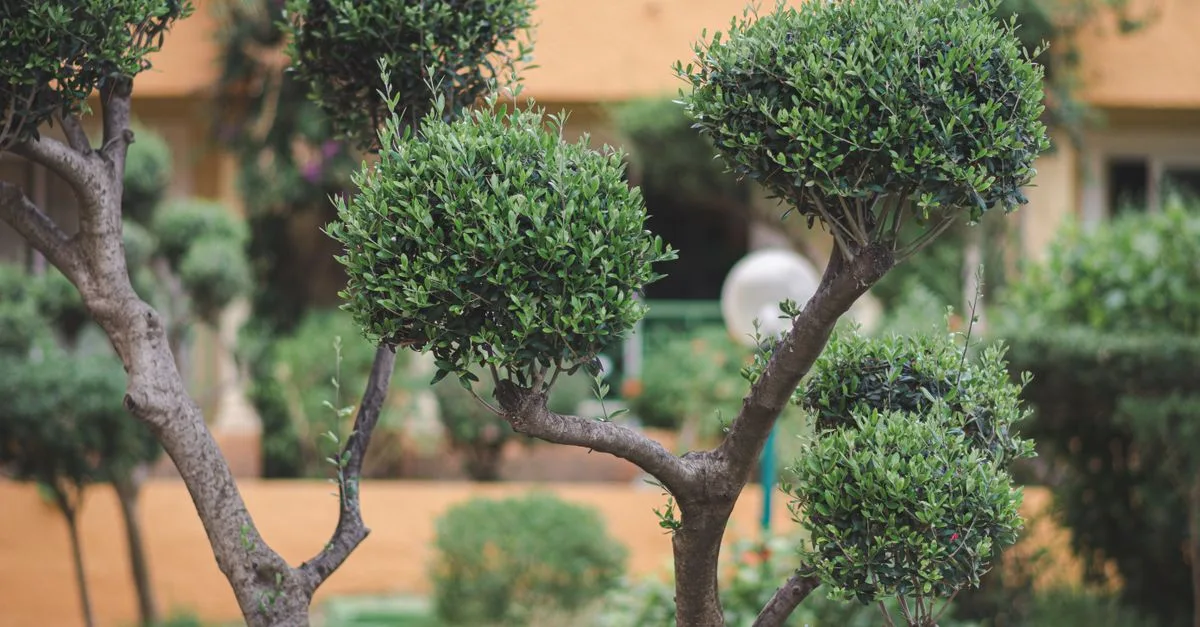 découvrez les meilleures techniques de taille des plantes pour favoriser leur croissance et leur santé. conseils pratiques pour une taille efficace et adaptée à chaque type de plante.